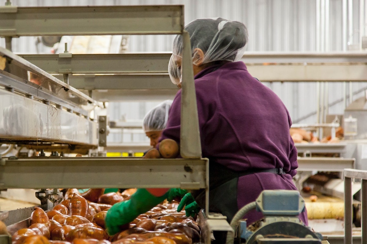 Pulizia di ambienti di produzione agroalimentare rispettando tutti gli standard di legge.